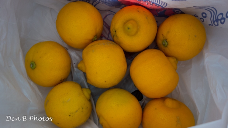 Citrons bergamotes